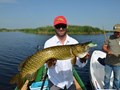 HOLBINA PIKEMASTER 2014 - 11-pikemaster.JPG